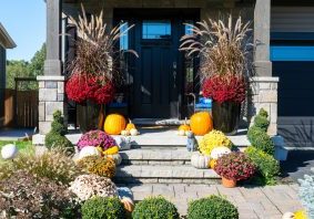 Low-Cost Ways to Boost Fall Curb Appeal